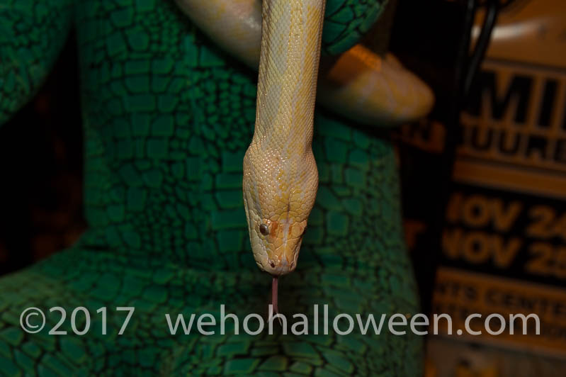 WeHoHalloween2017-436